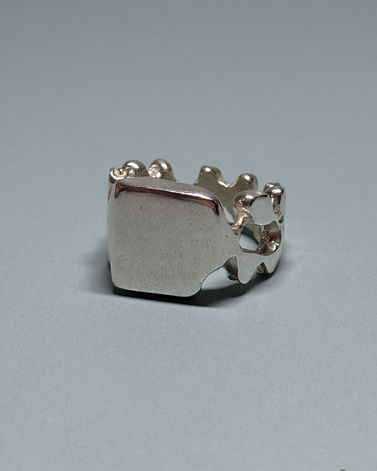 Subterranean ring 05.10