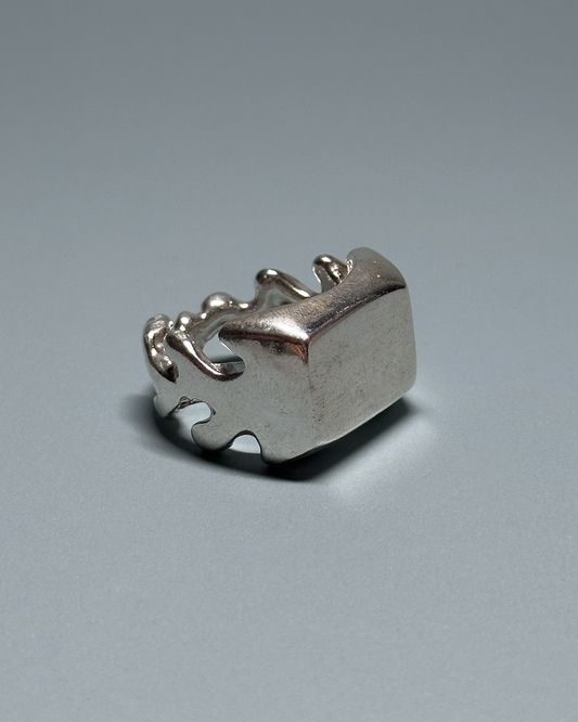 Subterranean ring 05.11